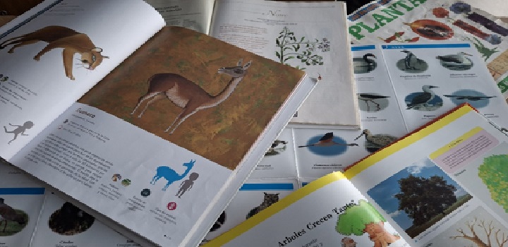 Bienvenido Año Escolar 2026