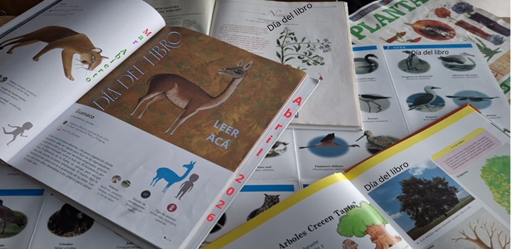 Bienvenido Año Escolar 2026